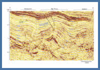 Figure 29